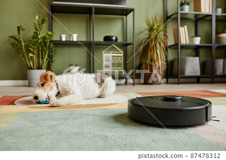Robot Vacuum on Carpet 87478312