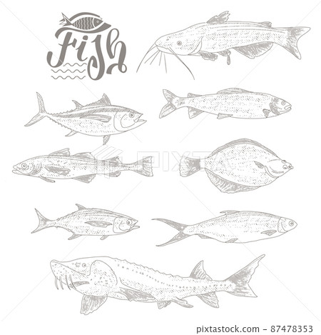 A collection of fish in vintage style A collection of fish in vintage style 87478353