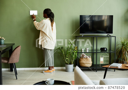 Young Woman Using Smart Home System Young Woman Using Smart Home System 87478520