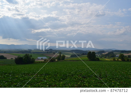 三愛無山 三愛無山 87478712