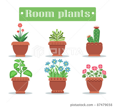 Room Plants in Pots with Blossom and Spikes Set 87479038