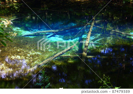 God's Pond God's Pond 87479389