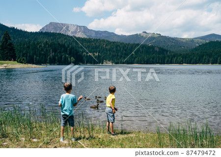 Boys stand on the shore and feed the ducks in the bay Boys stand on the shore and feed the ducks in the bay 87479472