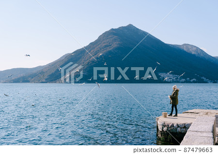 Girl in a jacket stands on the pier and feeds the seagulls against the backdrop of the mountains 87479663