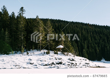 Black lake against the background of a green coniferous forest. Montenegro 87479665