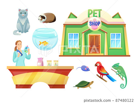 Pet Shop Animals and Girl at Check-Out Counter Pet Shop Animals and Girl at Check-Out Counter 87480122