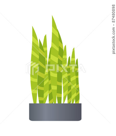 Pot and Plant of Green Color Vector Illustration Pot and Plant of Green Color Vector Illustration 87480898