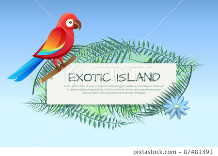 Exotic Island Poster Parrot Vector Illustration Exotic Island Poster Parrot Vector Illustration 87481391