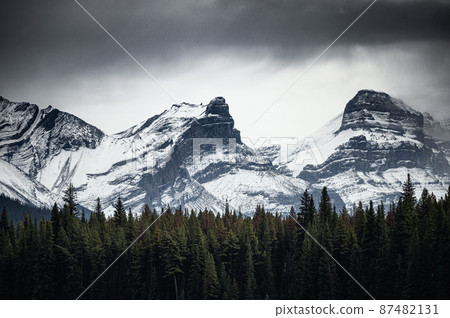 Snowy rocky mountains with pine forest in gloomy Snowy rocky mountains with pine forest in gloomy 87482131
