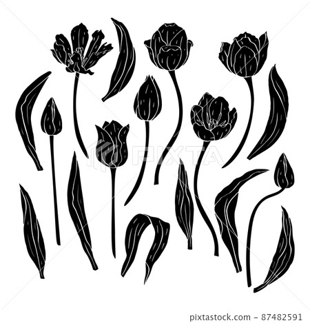 Monochrome tulip flowers sillhouettes set isolated on white 87482591