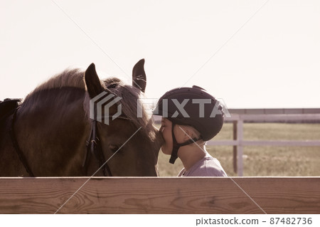 Girl kissing a horse - soft focus toned image Girl kissing a horse - soft focus toned image 87482736