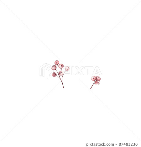 Watercolor orange berries on a white background Watercolor orange berries on a white background 87483230