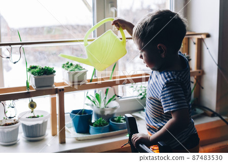 Caucasian boy watering from a yellow watering can home plants on the windowsill Caucasian boy watering from a yellow watering can home plants on the windowsill 87483530
