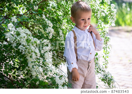 Portrait of adorable little boy in blooming bush with white flowers of spirea Portrait of adorable little boy in blooming bush with white flowers of spirea 87483543