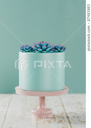 Fondant cake with succulents 3D rendering Fondant cake with succulents 3D rendering 87483863