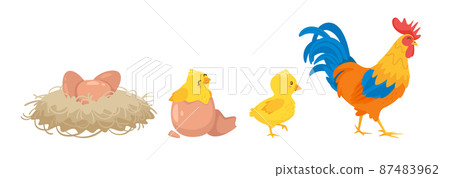 Cute happy newborn yellow chick breaks free 87483962