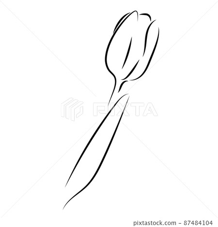 The silhouette of a tulip flower. Icon in the style of sketch, linear art, minimalism 87484104