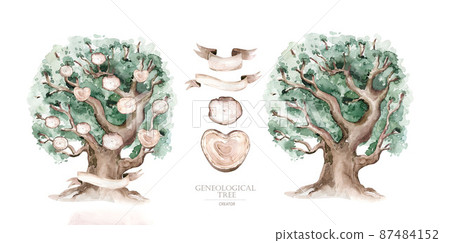 Watercolor Genealogical Family tree. Watercolor children's tree botanical season isolated illustration. olive, oak and cypress. Green forest ecology branch and leaves. Watercolor Genealogical Family tree. Watercolor children's tree botanical season isolated illustration. olive, oak and cypress. Green forest ecology branch and leaves. 87484152