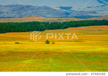 Bright natural minimalistic landscape with a spring multicolored field with mountains in the background. Natural background of the mountain steppe. Bright natural minimalistic landscape with a spring multicolored field with mountains in the background. Natural background of the mountain steppe. 87484160