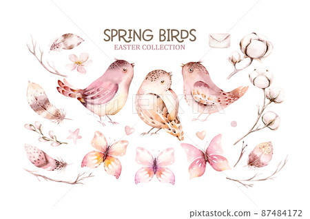 Collection cute birds in vintage watercolor style. spring illustration with colorful flowers on branches tree. Collection cute birds in vintage watercolor style. spring illustration with colorful flowers on branches tree. 87484172