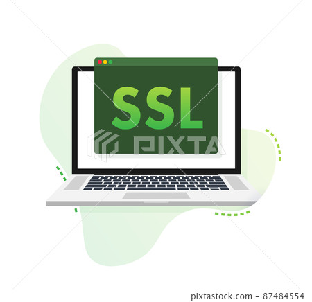 Secure internet connection SSL icon. SSL safe guard. Vector stock illustration 87484554