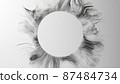 Abstract 3D illustration with a space for a text. Procedural 3D illustration 87484734