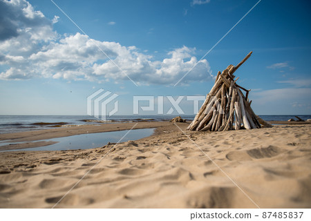 Stacked light trees and branches by the sea, like a wigwam or a bonfire. Natural landscape in Latvia, Carnikava 87485837