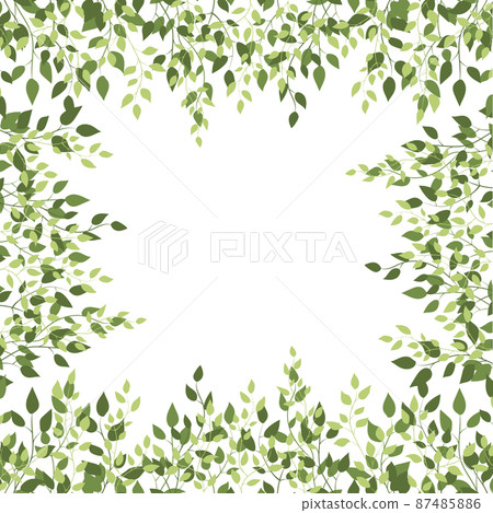 Birch green foliage square frame. Spring branch card. Text board with leaf border background. Natural botanical backdrop of tree leaves on a white background 87485886