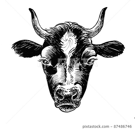 Bull head. Ink black and white drawing Bull head. Ink black and white drawing 87486746