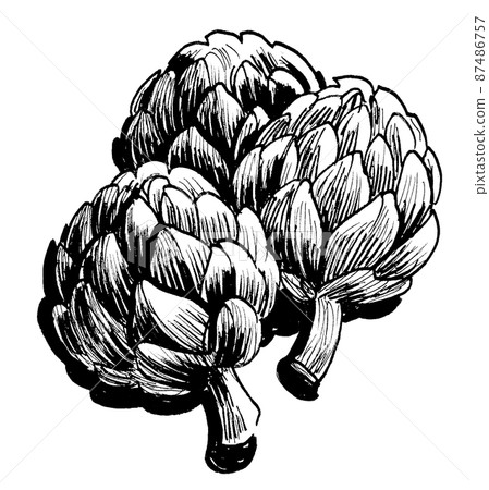Bunch of artichoke. Ink black and white drawing 87486757