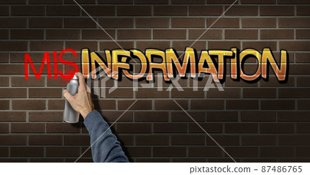 Misinformation 87486765