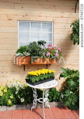 Marigolds Yellow Color (Tagetes erecta, Mexican marigold) on white table, decorative background Marigolds Yellow Color (Tagetes erecta, Mexican marigold) on white table, decorative background 87487226