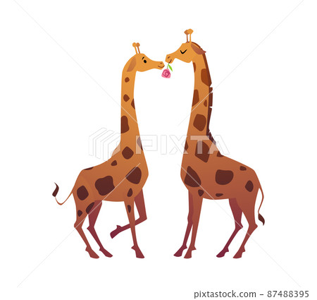 Couple of animal, two adorable giraffe for valentines day postcard in vector 87488395