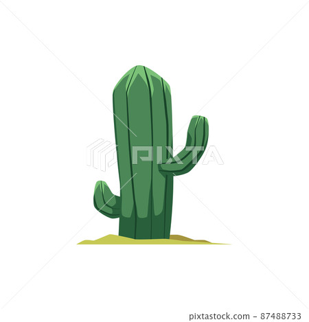 Desert cactus plant flat cartoon vector illustration isolated on white. Desert cactus plant flat cartoon vector illustration isolated on white. 87488733