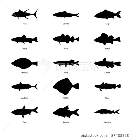 Set of silhouettes of fishes, vector illustration 87488838