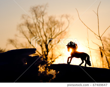 Horse figure and sunrise Horse figure and sunrise 87489647