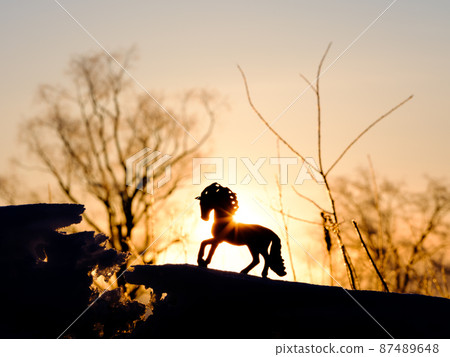 Horse figure and sunrise Horse figure and sunrise 87489648