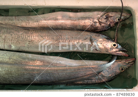 Raw cutlass fish close-up Raw cutlass fish close-up 87489830