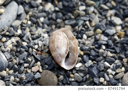 漂浮物夏目街 漂浮物夏目街 87491794