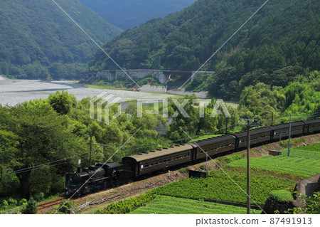 橫穿大井川的C56蒸汽機車牽引的“SL Kawanejigo”_2013/8/16 攝 87491913
