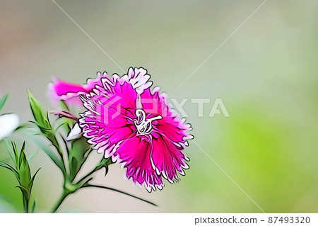 Pastel-like "flowerbed with blooming dianthus" illustration image 87493320