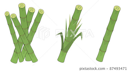 多個或僅甘蔗的插圖集（用於食品種植、飼料和生物質圖像） 87493471
