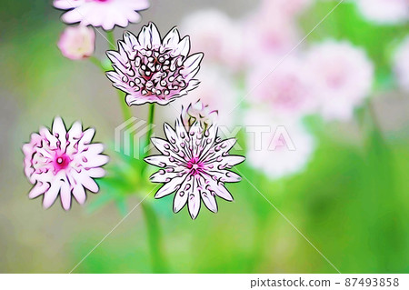 粉彩般的“花壇熙熙攘攘的 Astrancha”插圖圖像 粉彩般的“花壇熙熙攘攘的 Astrancha”插圖圖像 87493858