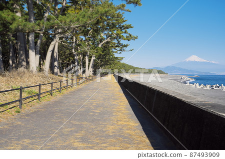 Beautiful scenery of Mt. Fuji seen from the sea and sandy beach on a sunny day Beautiful scenery of Mt. Fuji seen from the sea and sandy beach on a sunny day 87493909