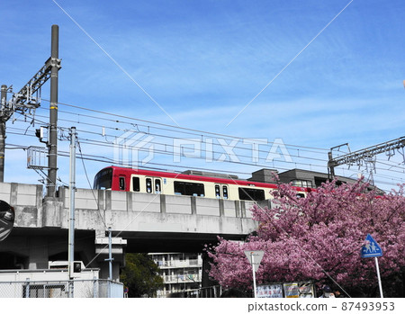 Kawazu-zakura Kawazu-zakura 87493953