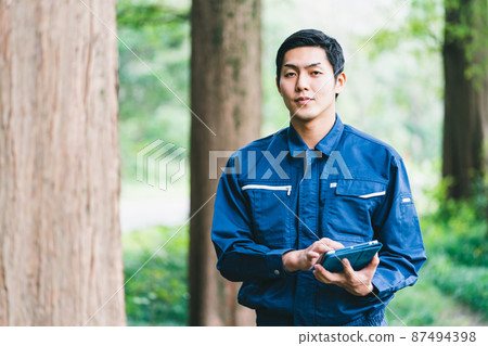 Forest work 87494398