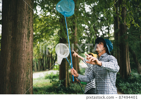 Insect-loving adult 87494401