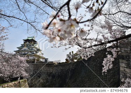 日本大阪府春天大阪城公園櫻花盛開、藍天和宏偉的城堡塔 87494676