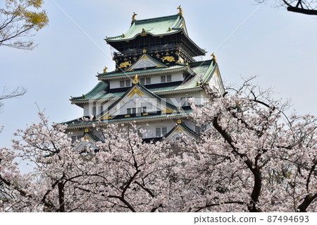 Osaka Prefecture, Japan Spring Osaka Castle Park Full bloom cherry blossoms, blue sky and magnificent castle tower 87494693
