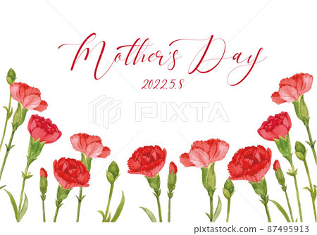Mother's day carnation frame 87495913